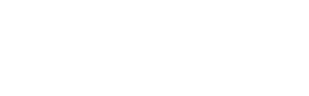 NZTA Logo White